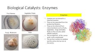 Catalysis