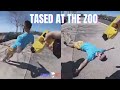 Father Tased At Columbus Zoo Over Love