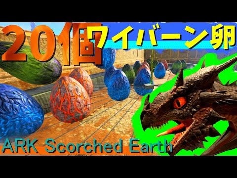 ワイバーンの卵個同時孵化 Part29 Ark Scorched Earth Youtube