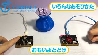 micro:bit マイクロビット純正品 簡単 プログラミング教材 子供 小学生 おもちゃ 知育玩具 クリスマス 誕生日 プレゼント おすすめ