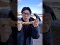 Magician SEID funny video　😂😂😂Best#tiktok #shorts#viral#tutorial#magictutorial#reveal#funny#cringe