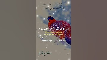 تلاوة خاشعة عطرة مباركة جميلة عذبة للشيخ فارس عباد ماتيسر من سورة الشعراء