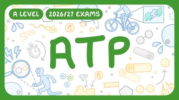 A-Level Biology - ATP - Structure | How it