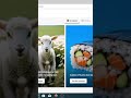 Freepik AI - Discover the usage