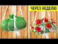 ФАНТАСТИЧЕСКИЕ СОВЕТЫ ПО САДОВОДСТВУ И ЛУЧШИЕ ИДЕИ ДЛЯ ВАШЕГО ЦВЕТУЩЕГО САДА