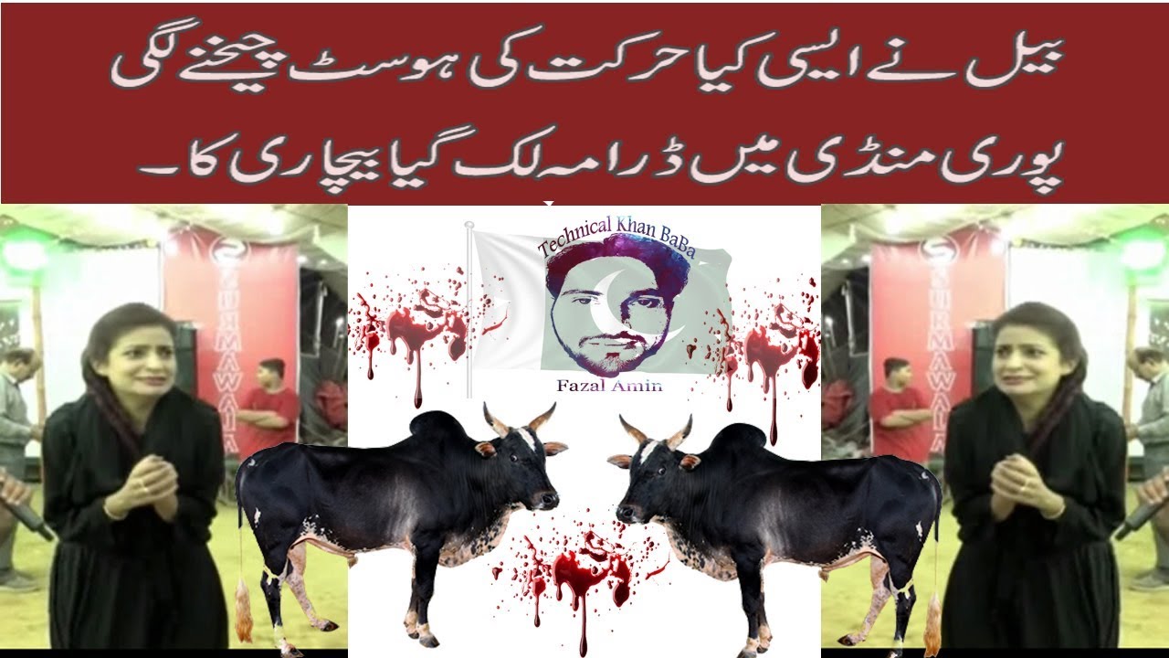 Embarrassing Moment For Host in Cow Mandi | Must watch