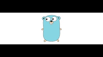 Setup DB and Server ip and port in a file using Golang