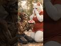 People Made Fun of a Cat Couple💔 Until Their SHOCKING Transformation 😼🔥 #ai #aishorts #sad #gym #cat