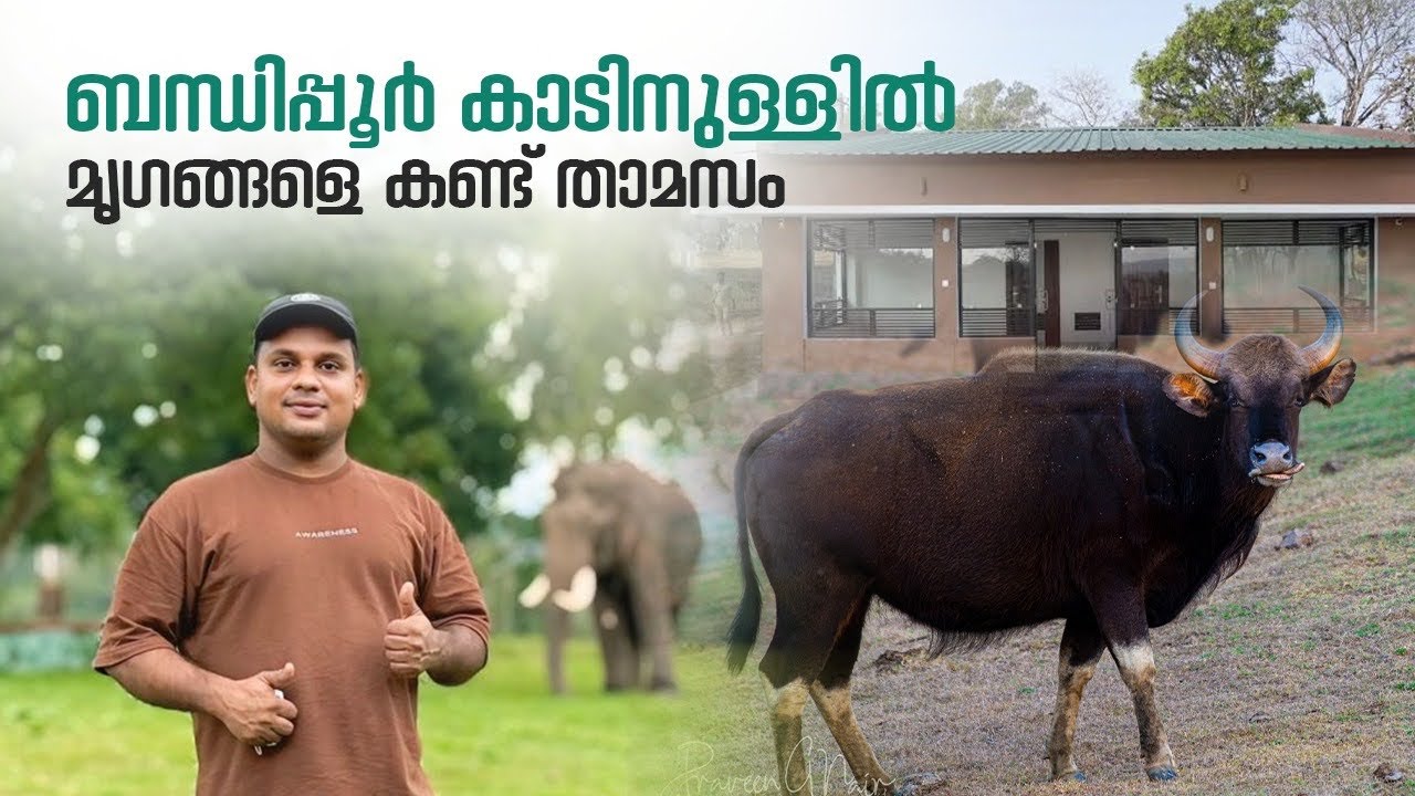 Bandipur Forest Stay Karnataka | രാത്രിയിൽ വന്യ മൃഗങ്ങൾ വിലസുന്ന കോട്ടേജിനുള്ളിൽ താമസം |