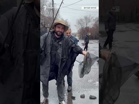 Որսալ ձու՞կ, թե՞ մեքենա. օրեցօր «լոճվող» ու «չափը չճանաչող» փոսերը Երևանում