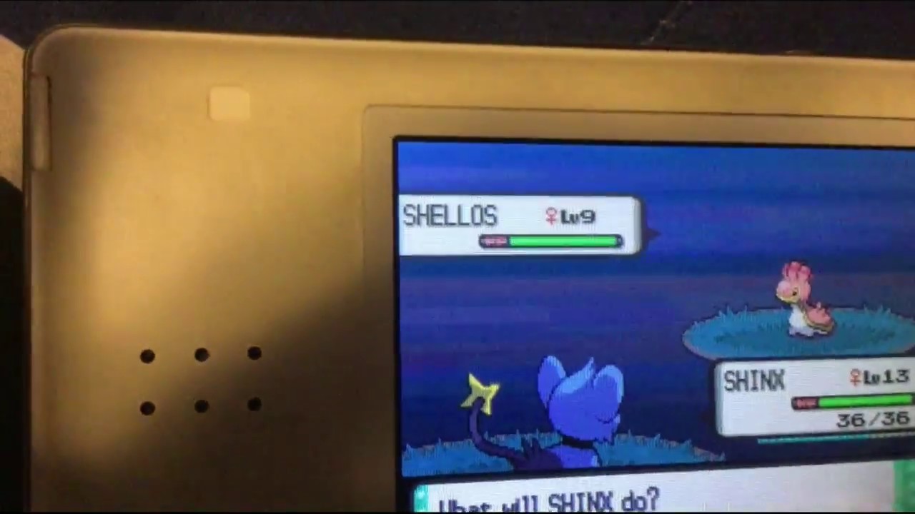 Random Shiny Shellos (Pokemon Diamond) - YouTube