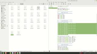 Network Simulator Exp 005 Wealth