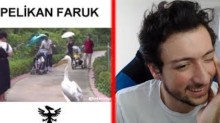 🤣😂 KAHKAHA ATARSAN KAYBEDERSİN 😂🤣 EN KOMİK FURKAN EMİRCE VİDEOLARI