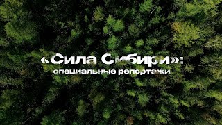 «Сила Сибири»: специальные репортажи