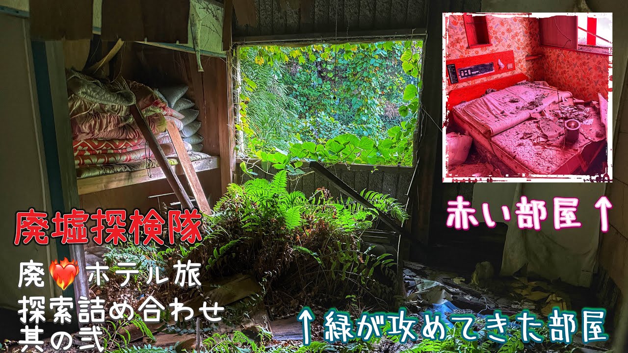 廃💗ホテル探索いっぱい行ったから詰め合わせ其の弐、緑が攻めてくる部屋から解体寸前ホテルまで色々【廃墟探検隊】