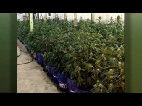 Brazoria County Drug Bust: The Shocking Truth Revealed