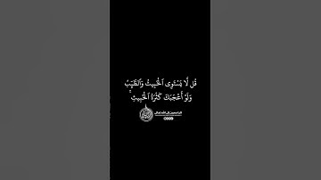 ماهر المعيقلي - سورة المائدة ( برواية حفص عن عاصم ) الأية 100