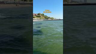 Температура моря в Одессе 23.05.2026 #odesa #одеса #одесса