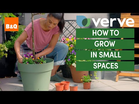 How to grow in small spaces | B&Q x Verve