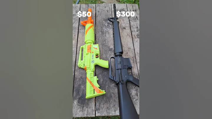 $50 vs $300 M16 - Test