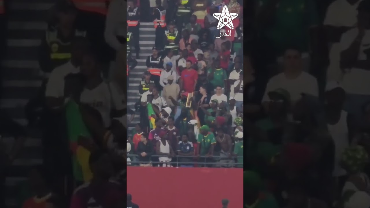 بصور جلالة الملك.. الجماهير الكامرونية تحتفل بالأهداف في نهائي كأس إفريقيا للسيدات