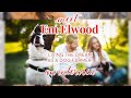 Elwoods organic dog meat an interview with em elwood part 1