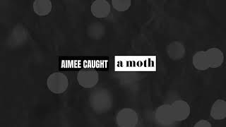 Another Sky - Aimee Caught a Moth (Lyric Visualiser)