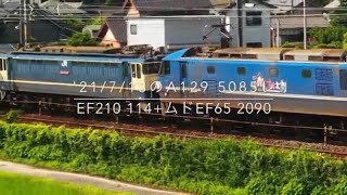 '21/7/13のA129 5085レ EF210 114+ムドEF65 2090