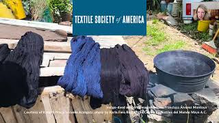 Textile Talks: A Conversation with the Ashley Occhino of Textile Society of America