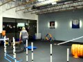 Roo running agility at the Zoom Room Roo running agility at the Zoom Room