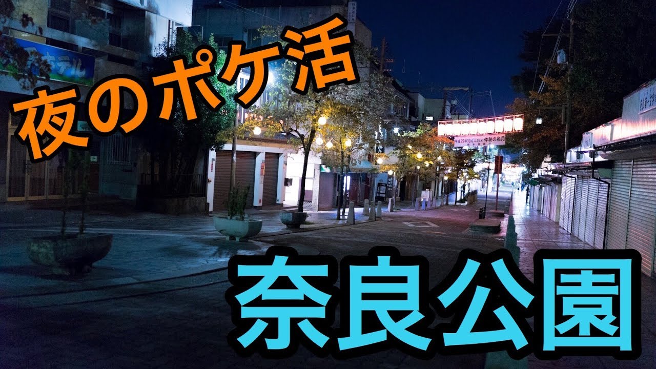 ポケモンgo 夜の奈良公園はモジュールだらけww Youtube