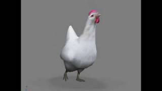 Animals animation