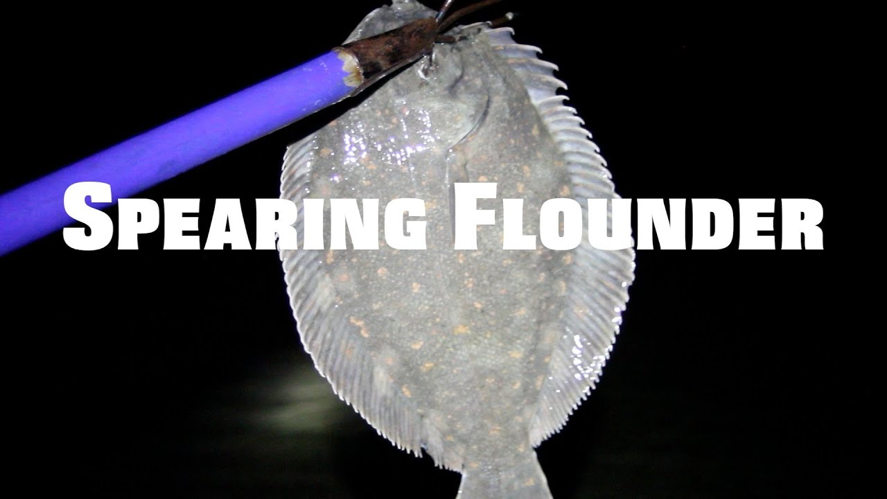 NEW ZEALAND flounder gigging catch and cook Adventure VLOG FATHER and