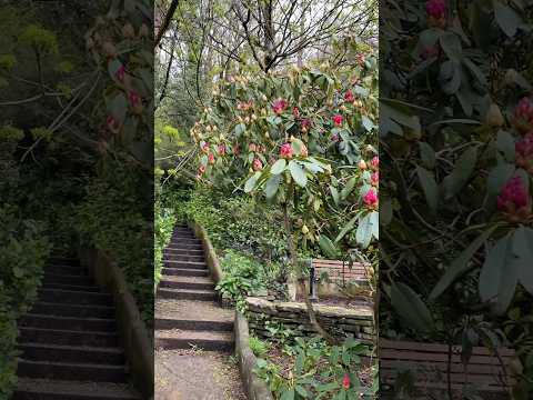 Video: Živali Velike Britanije. Flora in favna Velike Britanije