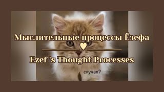 Мыслительные Процессы Ёзефа Ezef S Thought Processes
