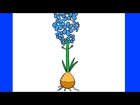 איך לצייר חצב