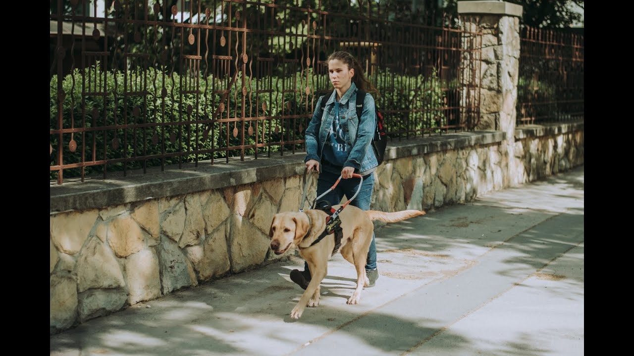 Két kutyával találta meg az összhangot