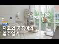 [일룸] 지코, 꾹꾹이의 HoF 입주일기(feat. 캐스터네츠)