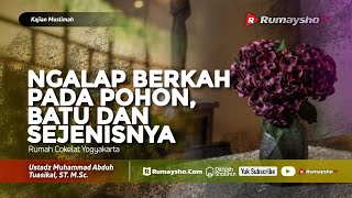 Akidah dan Tauhid yang Lurus