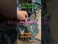 B P POTCH JACKET IN COBRA COLOUR. JOIN US FOR WHOLESALE