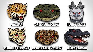 Every TYPE Of JUNGLE PREDATOR Explained In 4 Minutes 