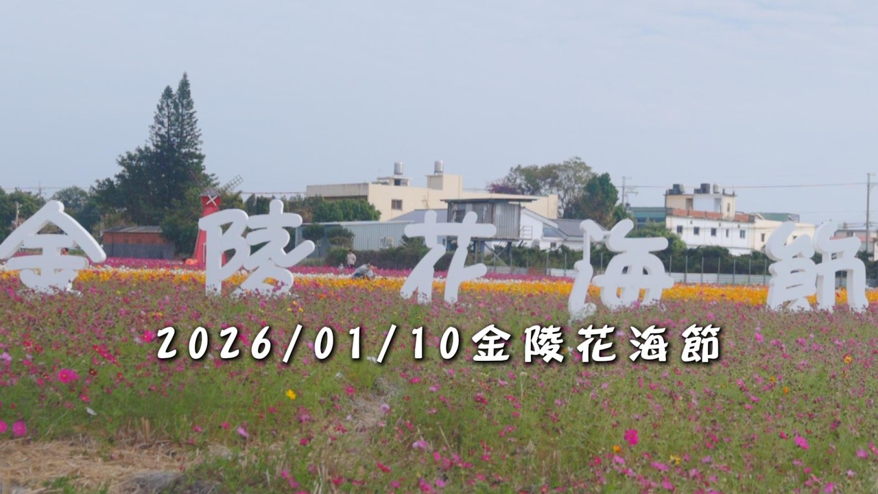 《金陵村花海節 》活動紀錄