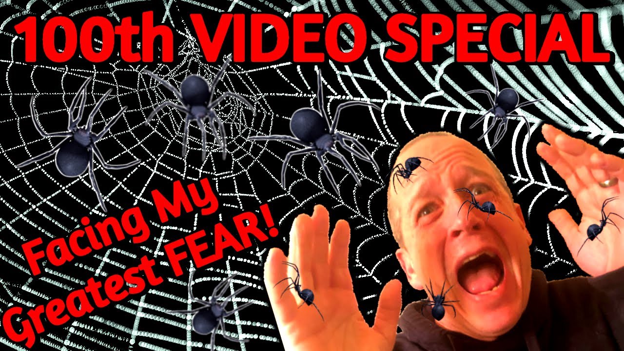 100th VIDEO SPECIAL - Facing My Greatest FEAR!! - SPIDER HUNTER SIMULATOR - Kill It With Fire