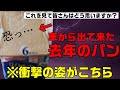 【無菌】食べてはいけない腐らない食パンの事実【添加物無しの生活】