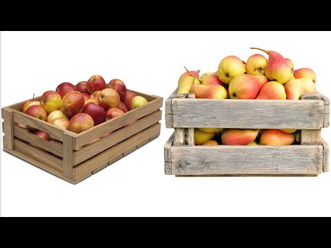 Мировой прогноз производства яблок и груш 2021-2022