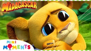 Alex's New Show  | Madagascar: A Little Wild | Mini Moments