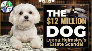 Your Will, Your Pet, Your Fortune – What's Actually Possible | Plan for This Podcast