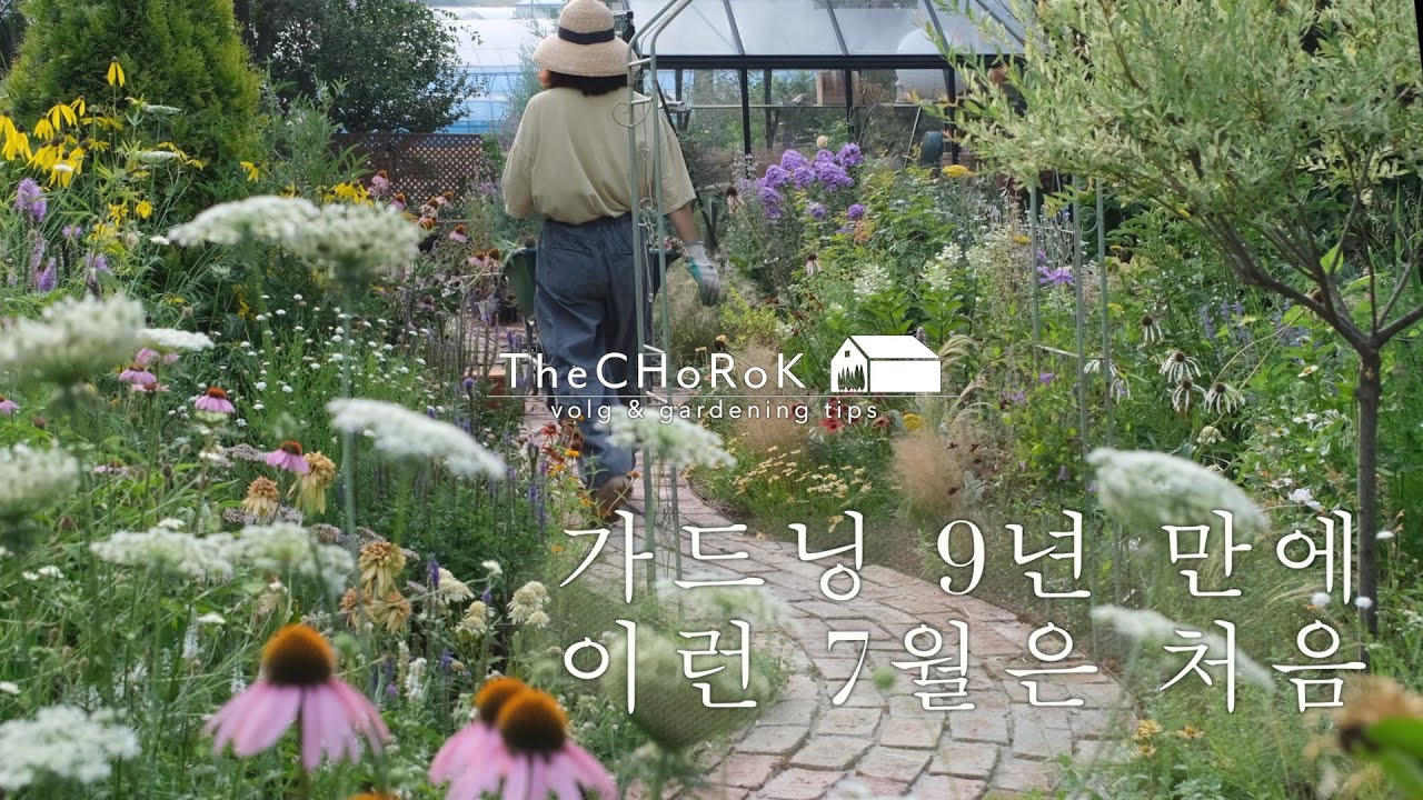 물 자주 안줘도 되는 모종 심는 법 | 여름 가드닝 브이로그  | 7월의 정원