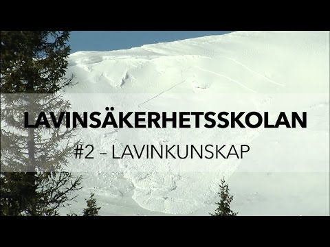 Video: Avalanche - vad är det? Orsaker och konsekvenser av laviner