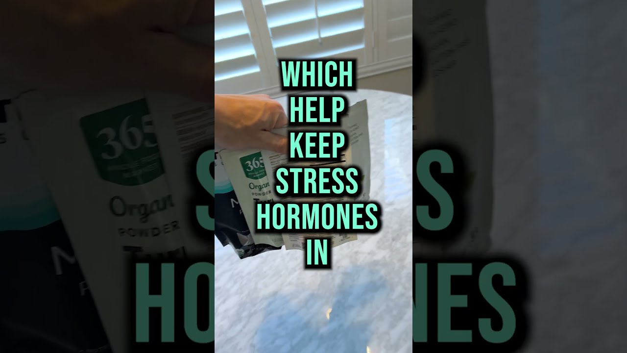 4 Super Foods To Ease Your Holiday Stress